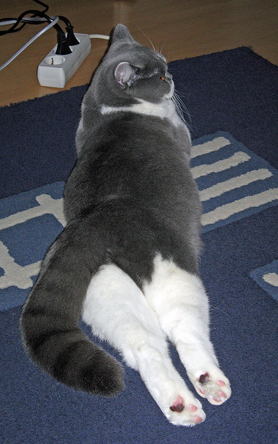 开云体育登录网站入口-“逆境中的巨星，爆发式发挥带领球队逆袭晋级”，逆境中突破